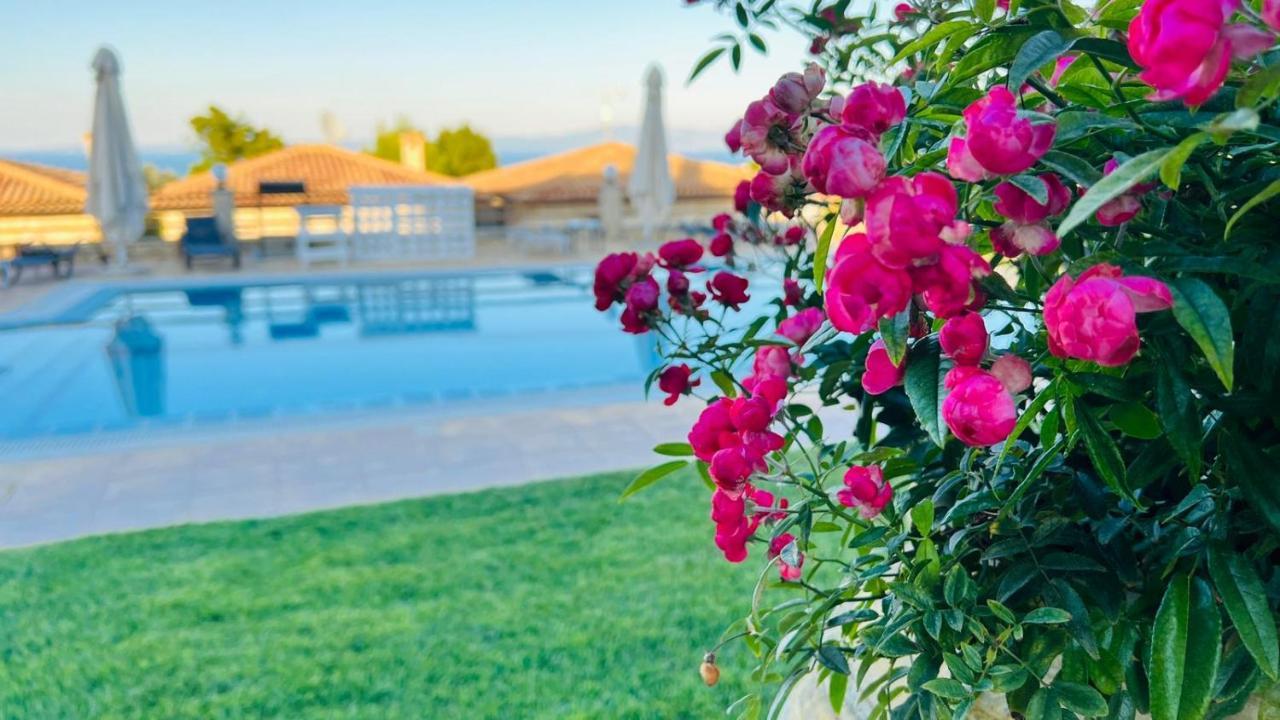 Daphne Villas クリオピギ エクステリア 写真